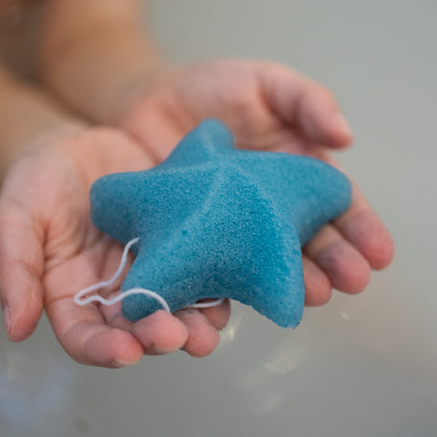 Sea Star Sponge Blue