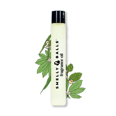 Fragrance Oils