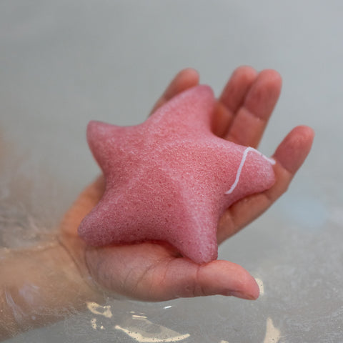 Sea Star Sponge Pink