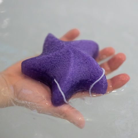 Sea Star Sponge Purple