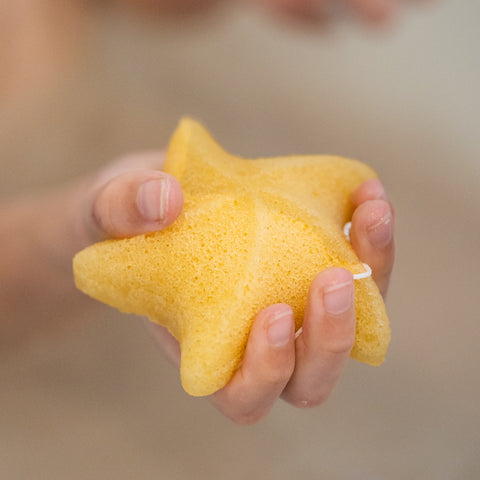 Sea Star Sponge Yellow